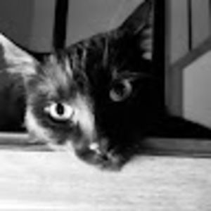 Meet your Posher, Tracey